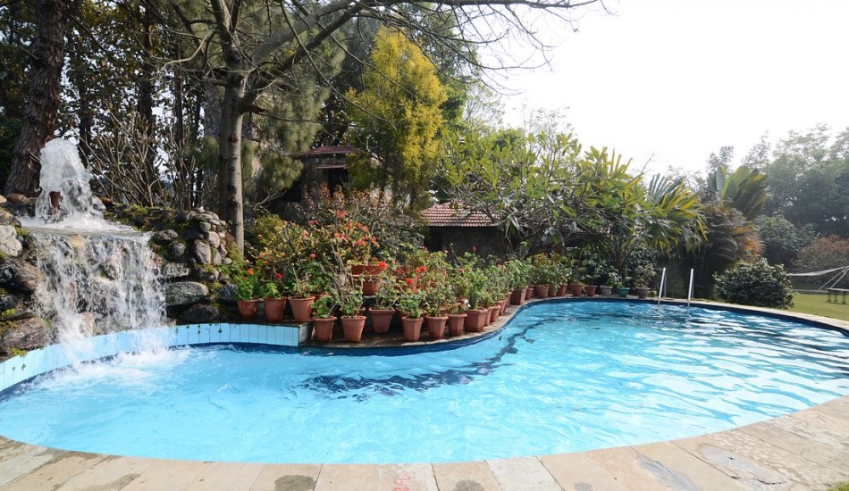 TREE OF LIFE  HOMESTEAD CORBETT COUNTRY